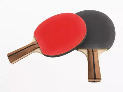 Table Tennis Paddle 3D model