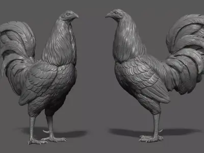Rooster fighting 3D print model