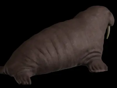 Walrus Low-poly 3D model