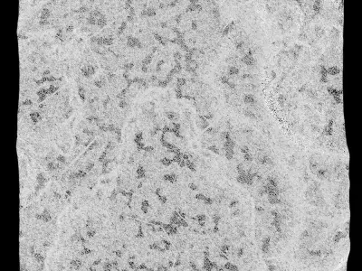 149-RockPanel piece of rock 3D model