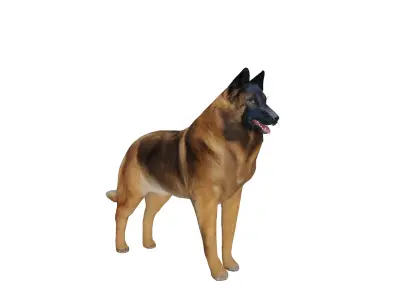Belgian Shepherd Tervuren Dog Low-poly 3D model