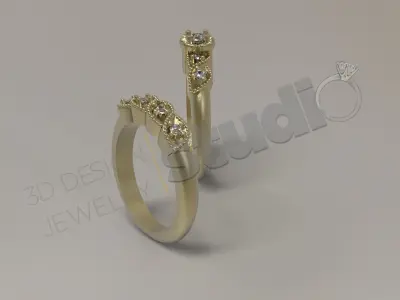Luxury two similar leaf ring 3d model design 3D print model