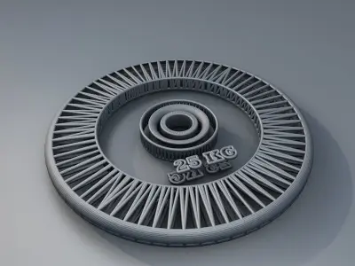 The weight plates for barbell Free low-poly 3D model