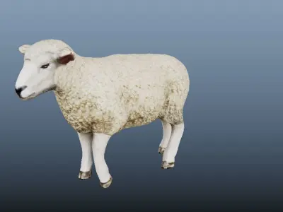 Sheep Animated VFX Grace Low-poly 3D model