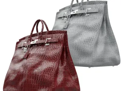 Birkin 55 HAC Croc Bag Low-poly 3D model