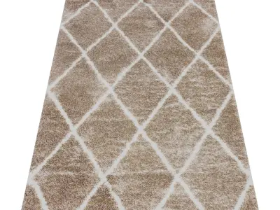 Rug Set 1676 3D model