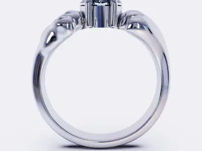 ring WR 681 3D print model