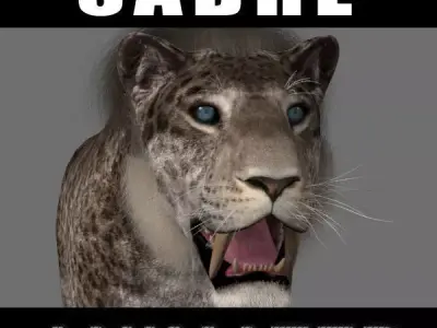 Female Sabretooth - 3d animated model 3D model