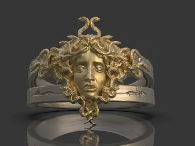 Gorgon Head Ring  3D print model