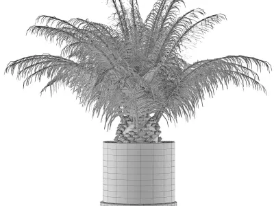 House Plant 32 3D model