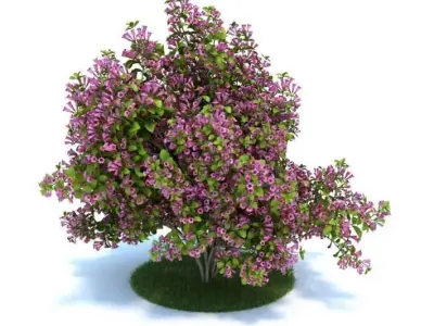 Purple Flower Bush 3D model