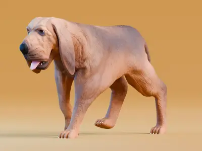 Low poly - Stylized dog - Bloodhound  Low-poly 3D model