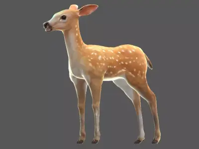 Sika deer   Elk  Water deer Low-poly 3D model