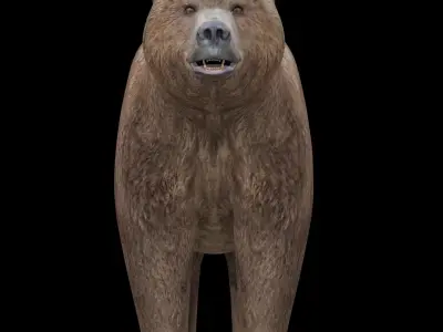 Grizzly Bear  Low-poly 3D model