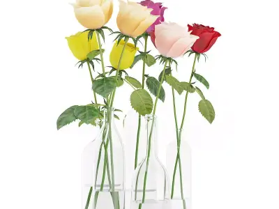 Roses in Glass Vases 3D model