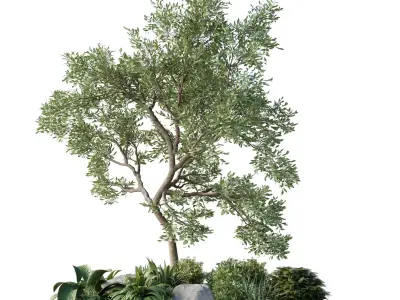 Plants Garden Outdoor plant Collection 140 Low-poly 3D model