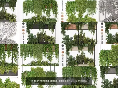 Indoor hanging plants - collection 01