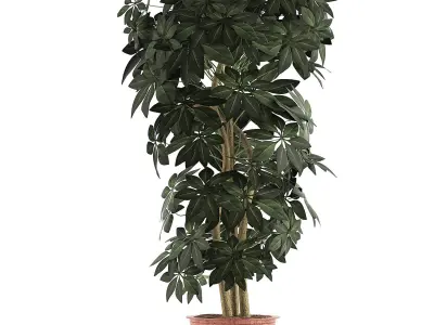 Plants Collection 64 3D model