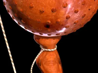 Cup and ball 3D model