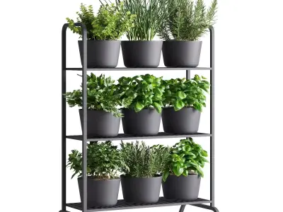 Herb Shelf with Black Pots 3D model