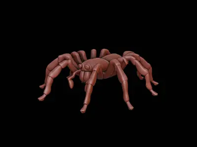Spider Animal Sculpture 3D print model buy