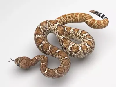 Viper Snake 3D model