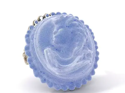 Vintage Cameo Brooch model pack Low-poly 3D model