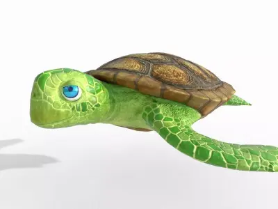 Turtle stylized Low-poly 3D model