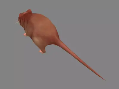 Cartoon mouse Low-poly 3D model 3