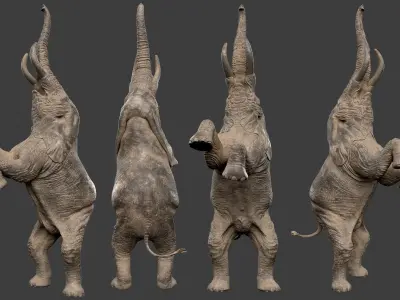 Standing Elephant 3D print model