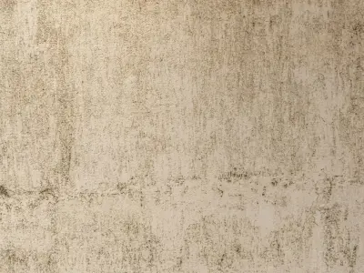 stucco 534 Texture