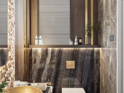 Luxury Guest Bathroom 3D model