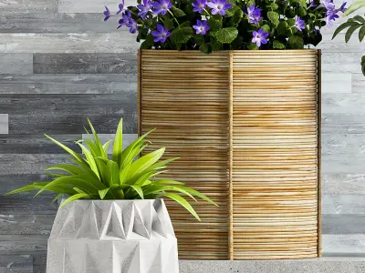 Decorative plant set-67 3D model