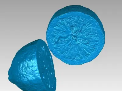 Real Lemon Fruit Cut in Two Pieces High Detail 3D Scan 3D print model