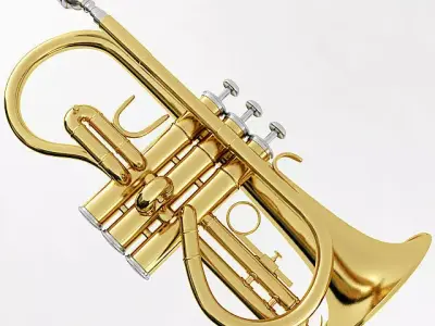 Soprano Cornet 3D model