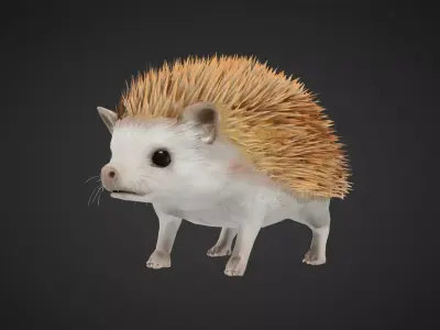 Hegdehog Stylized Yellow 3D Character Low-poly 3D model