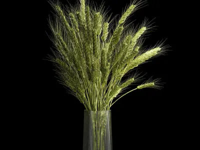 Bouquet Of Green Ears Of Wheat In A Vase 3D model