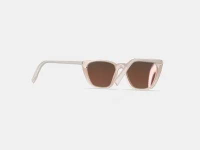 Janelle Sunglasses in Praline 3D model