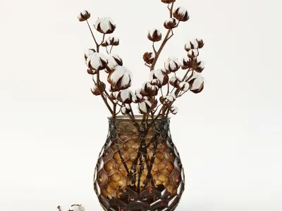 Cotton in a vase 3D model