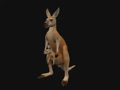 animated kangaroo with baby Low-poly 3D model