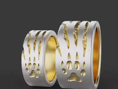 Claw Rings 52668 3D print model