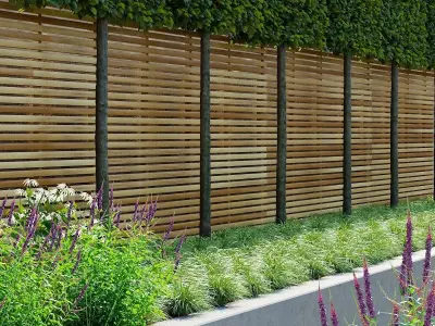 Carex morrowii Ice Dance ornamental grass 3D model