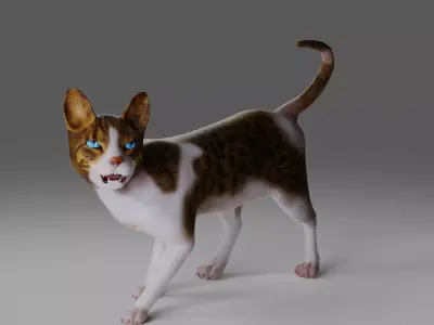 Calico Cat rigged and animated V3 Low-poly 3D model