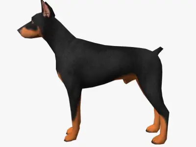Doberman Low-poly 3D model