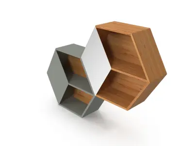 Shelving hexagonal bookcase with two shelves Free 3D model