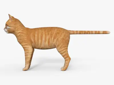 Yellow 3D Cat Rigged 3D model