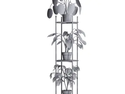 plant Collection 02 3D model