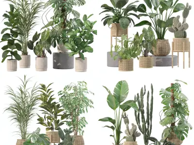 20 Photorealistic Flowers for Interiors - set 202 206 210 211 3D Model Collection