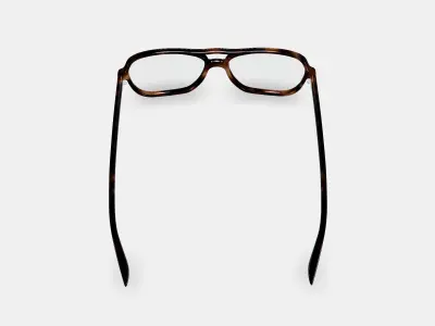 Carrick Eyeglasses in Cognac Tortoise 3D model