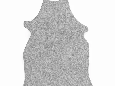 Cowhide Rug Brown And White 3D model